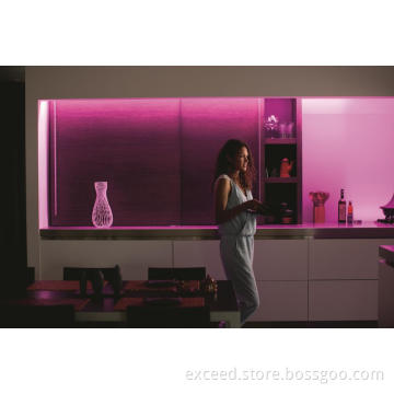 Body Sensor LED Bed Light